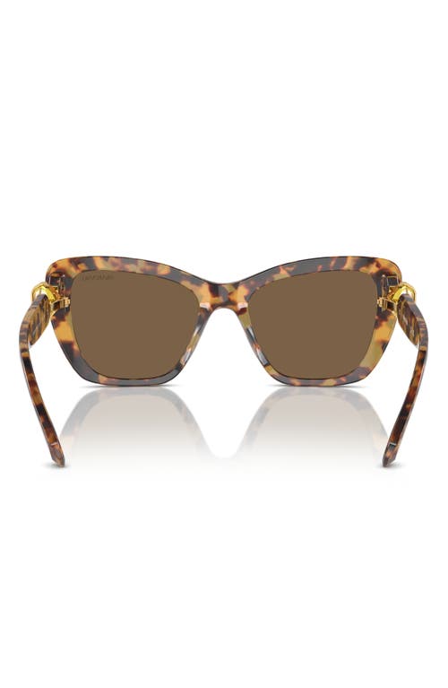 Shop Swarovski 55mm Cat Eye Sunglasses In Dark Brown