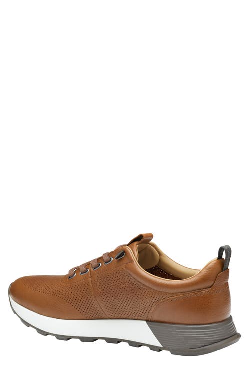 Shop Johnston & Murphy Kinnon Perforated Leather Jogger Sneaker In Dark Tan Full Grain