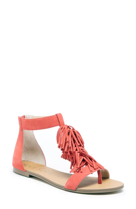 Sole Society Koa Fringed T-strap Sandal In Pink