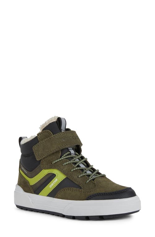 Geox Weemble Sneaker Dk Green/Lime Green at Nordstrom,