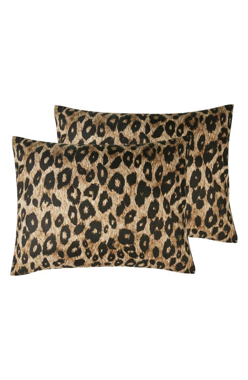 Vcny Home Cheetah Reversible Bed In A Bag Comforter Set Collection Bedding In Brown