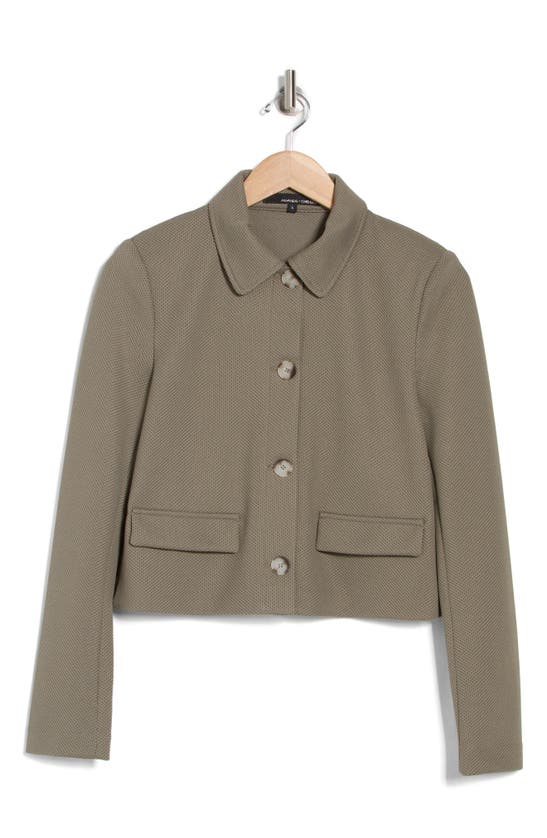 Shop Amanda & Chelsea Piqué Short Jacket In Olive As Sample