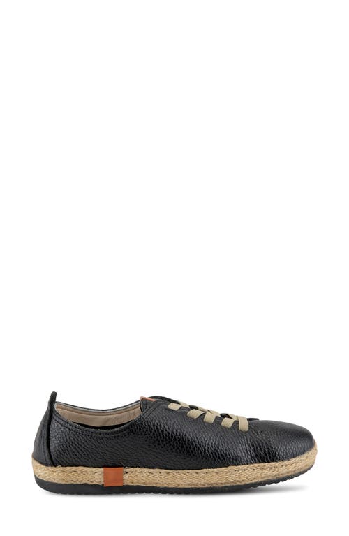 Shop Spring Step Eloya Sneaker In Black