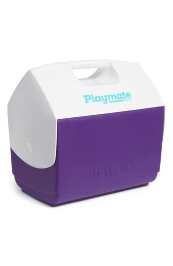 Igloo Playmate 16-quart Cooler In Purple