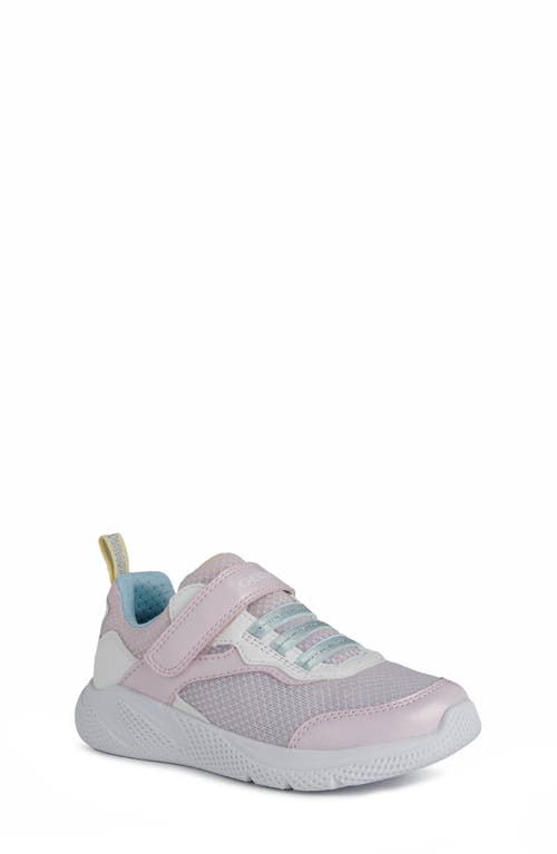 Geox Sprinty Waterproof Sneaker in Pink/White