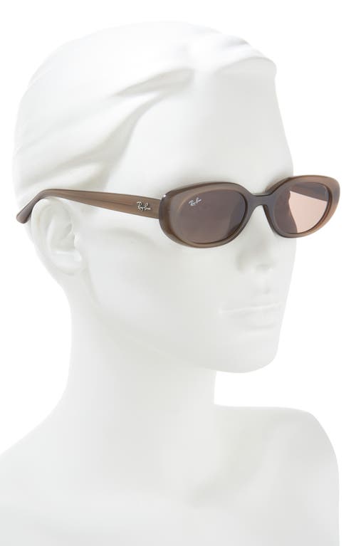 Ray Ban Ray-ban 53mm Pillow Oval Sunglasses In Opal Brown