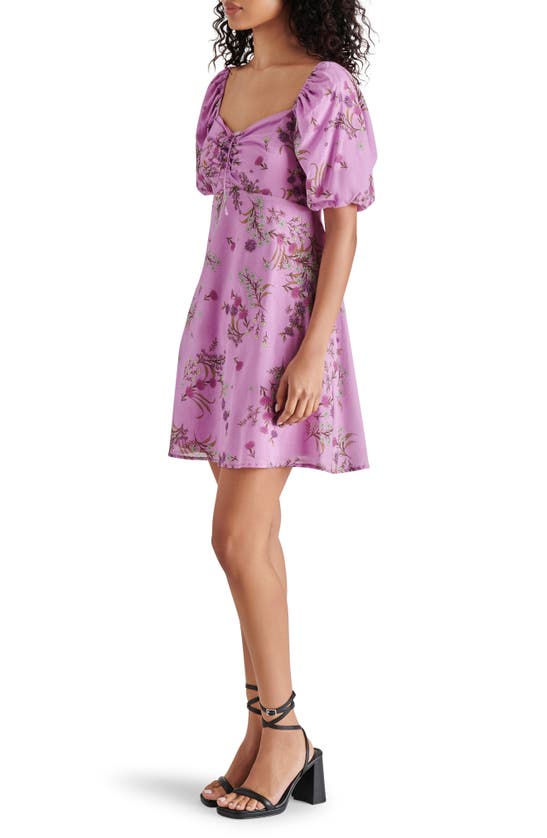 Shop Steve Madden Violeta Floral Minidress In Purple