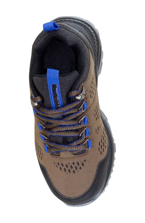 Shop Northside Kids' Benton Waterproof Sneaker In Brown/blue