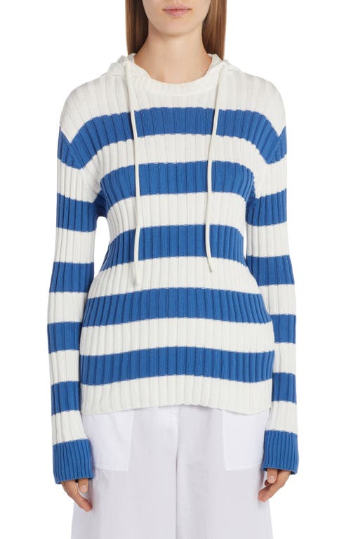 Moncler Stripe Cotton Hooded Sweater in Blue/White Multi