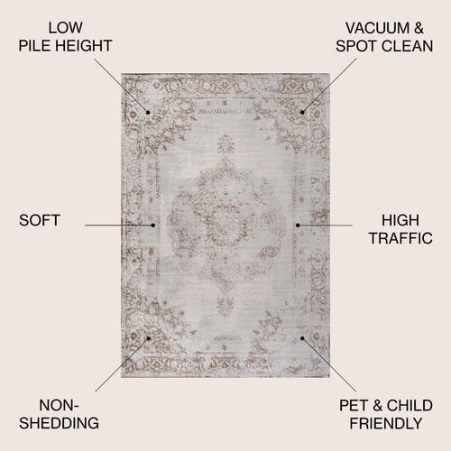 Jonathan Y Rosalia Cottage Medallion Area Rug In Brown/cream