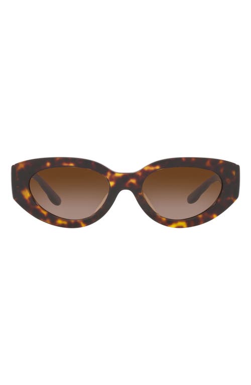 Tory Burch 51mm Gradient Cat Eye Sunglasses in Dk Tort