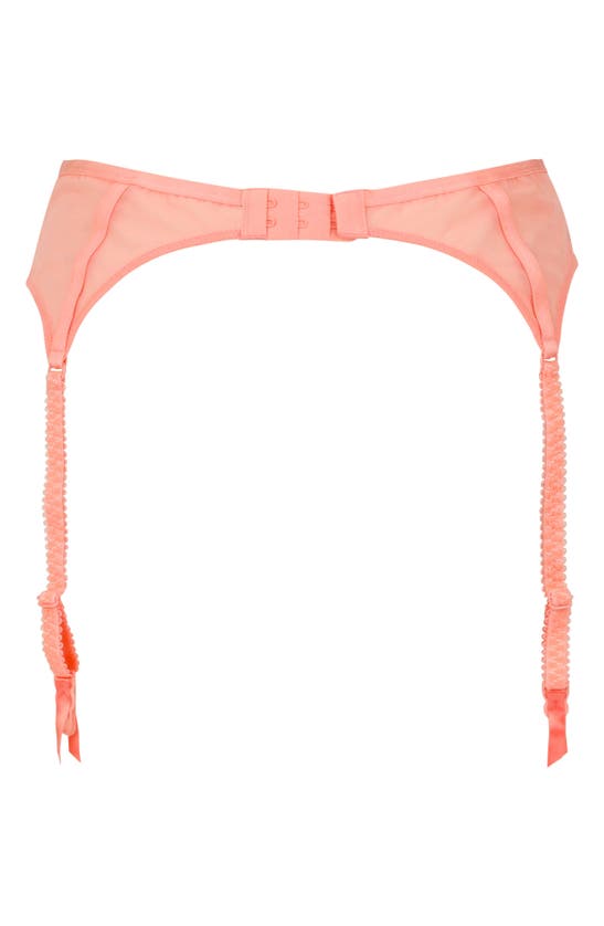 Shop Love, Vera Floral Embroidered Garter Belt In Coral