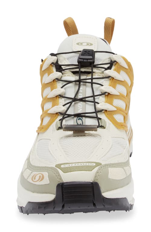 Shop Salomon Acs Pro Gore-tex® Waterproof Sneaker In Icicle/antelope/tea