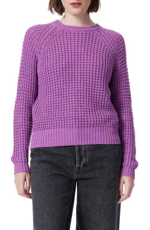 Dee Ocleppo Waffle Knit Sweater In Violet