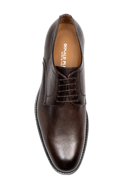 Shop Donald Pliner Russell Derby In Dark Brown