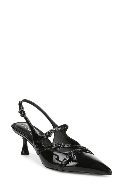 Circus NY by Sam Edelman Fraya Slingback Pointed Toe Pump at Nordstrom