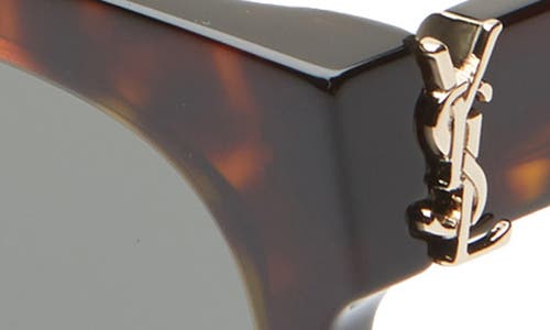 Saint Laurent 54mm Square Sunglasses In Dark Havana/grey
