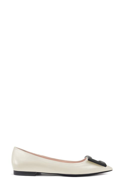 Roger Vivier Gommettine Buckle Pointed Toe Flat White at Nordstrom,