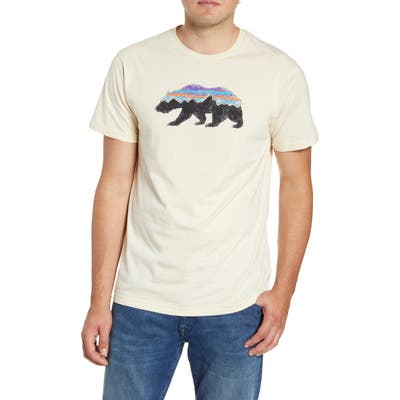 Patagonia Fitz Roy Bear Organic Cotton Crewneck T-Shirt
