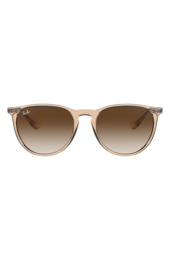 Ray Ban Ray In Brown