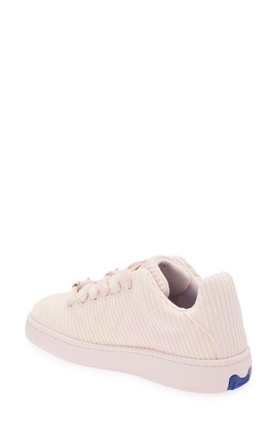Shop Burberry Knit Sneaker In Cameo Ip Check