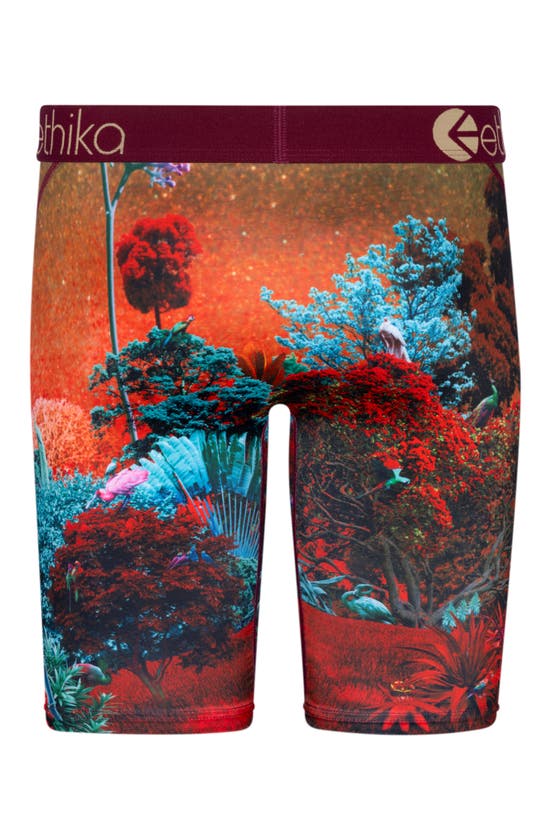 Shop Ethika Kids' Forest Tiger Boxer Briefs In Red/ Green