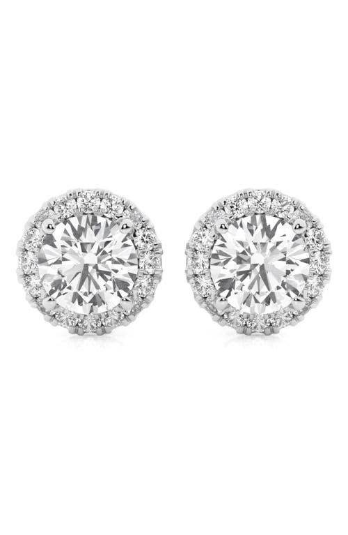14K Gold Round Cut Lab-Created Diamond Halo Stud Earrings - 2.4ct in White Gold