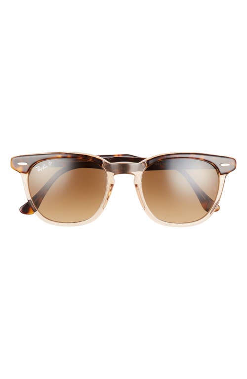Ray-Ban 52mm Square Polarized Sunglasses in Havana /Brown Gradient at Nordstrom