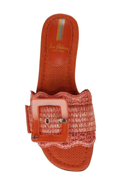 Shop Sam Edelman Bambi Raffia Buckle Slide Sandal In Terra Orange