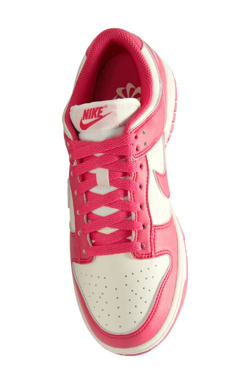 Shop Nike Dunk Low Next Nature Sneaker In Aster Pink/aster Pink-sail