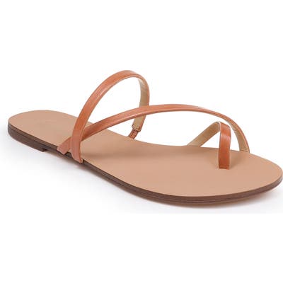 Splendid Trenton Strappy Slide Sandal- Brown