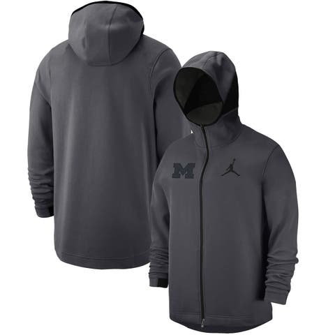 Michigan hot sale jordan hoodies