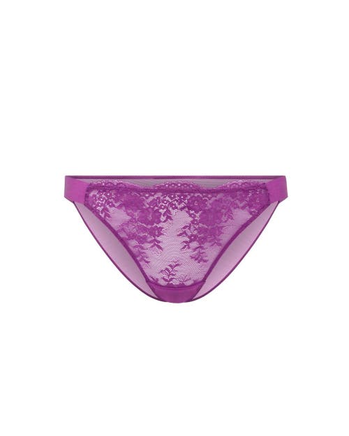 Shop Adore Me Olisa Bikini Panties In Dark Purple