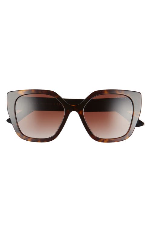 Shop Prada 52mm Butterfly Sunglasses In Havana/brown Gradient