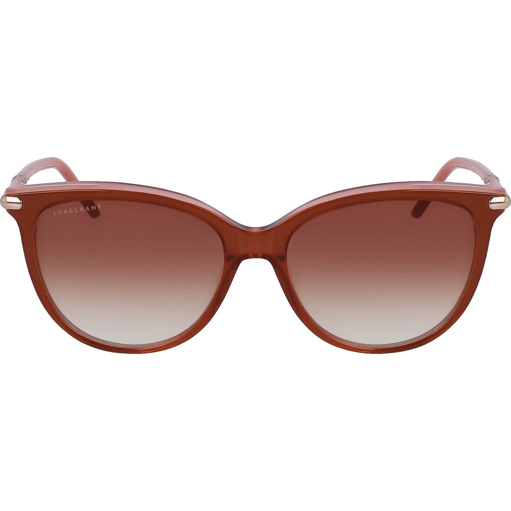 Longchamp Tea Cup 54mm Sunglasses In Brown