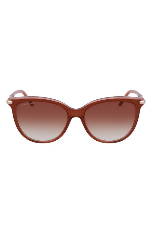 Longchamp Tea Cup 54mm Sunglasses in Brown/Rose at Nordstrom