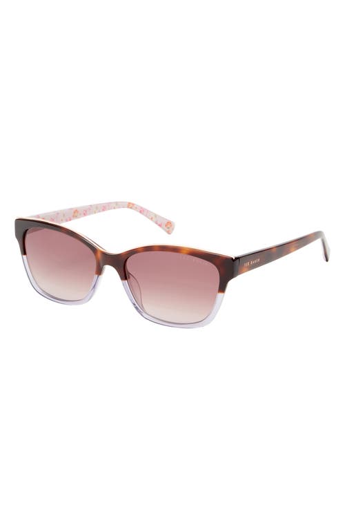 Ted Baker London 57mm Cat Eye Sunglasses In Tortoise