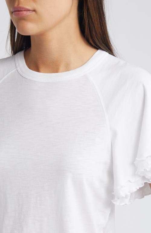 Shop Nation Ltd Flutter Sleeve Cotton T-shirt In White