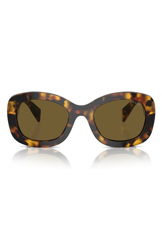 Shop Prada 54mm Oval Polarized Sunglasses In Dark Brown