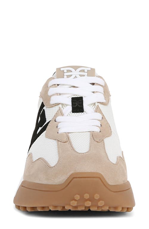 Shop Sam Edelman Langley Sneaker In White/tan/black