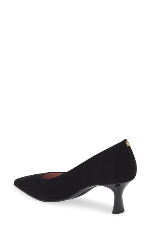 Naot Margot Pointed Toe Pump In Black Classic Suede