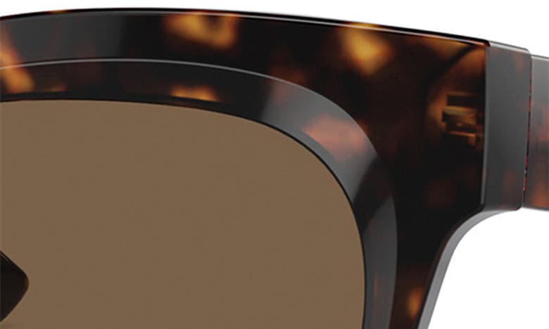 Shop Burberry Evolution 54mm Cat Eye Sunglasses In Dark Havana