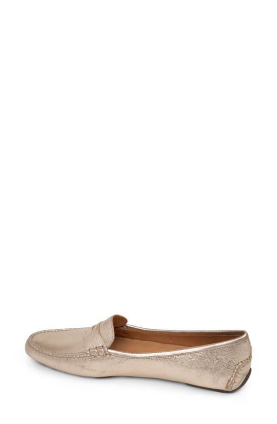Shop Patricia Green Janet Scalloped Driving Loafer In Gold