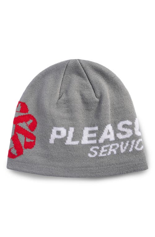 Shop Pleasures Service Skully Beanie In Grey