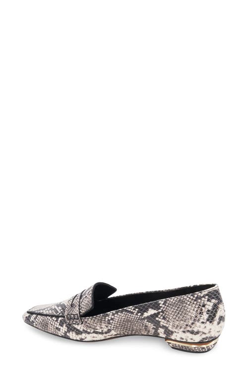 Shop Bcbg Paray Penny Loafer In Natural Snake