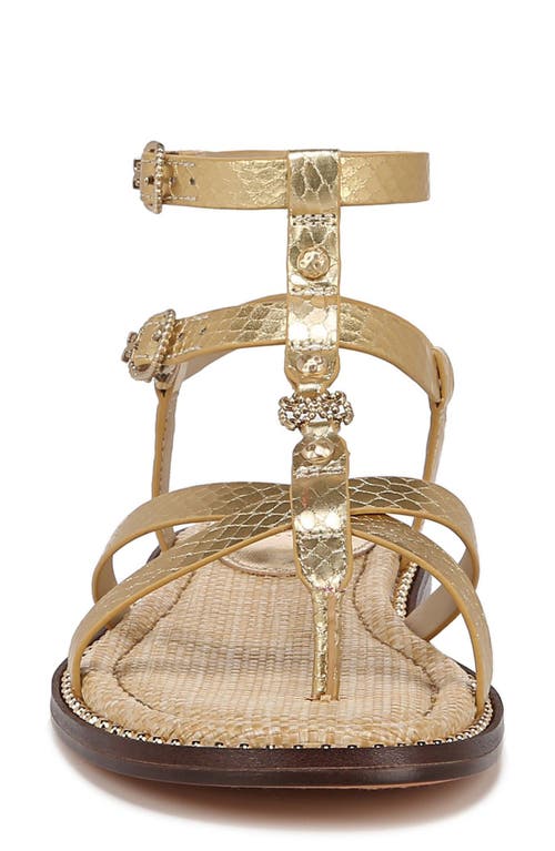Sam Edelman Talya Sandal In Gold