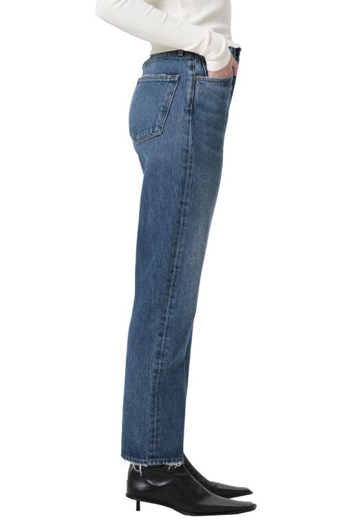 Shop Agolde '90s Pinch Waist High Waist Straight Leg Jeans In Essence