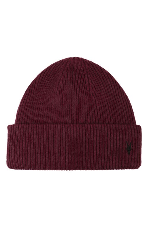 AllSaints Ramskull Embroidered Beanie in Amarone Red