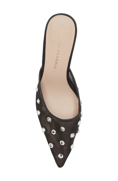 Shop Loeffler Randall Paloma Embellished Pointed Toe Mule In Black/crystal