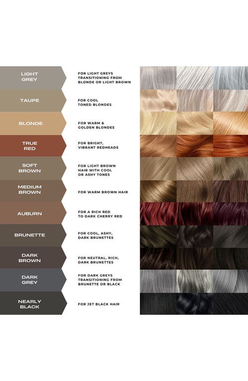 Madluvv Brow Stamp Kit In Light Grey
